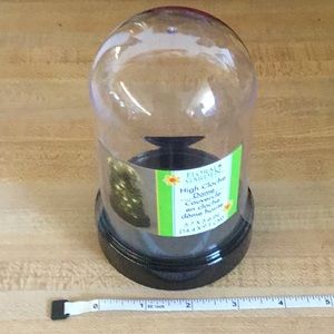 NWT High Cloche Dome